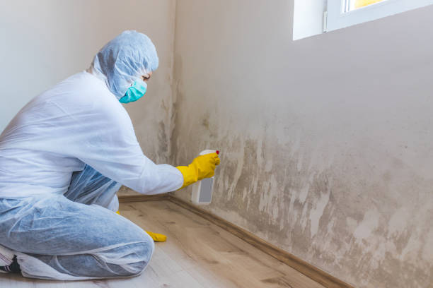 Licensed Crawl Space Mold Removal service in Elizabeth, CO - WQB Mold Removal