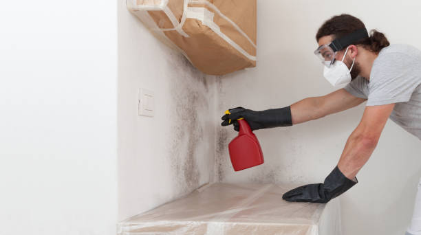 Professional Crawl Space Mold Removal technician working in Elizabeth, CO