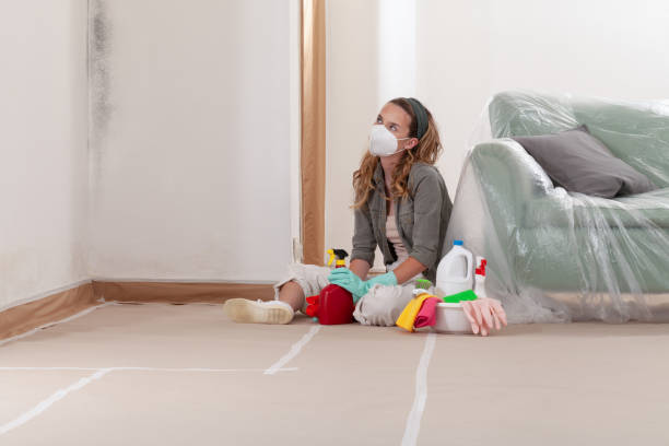 Reliable Crawl Space Mold Removal contractor in Elizabeth, CO by WQB Mold Removal