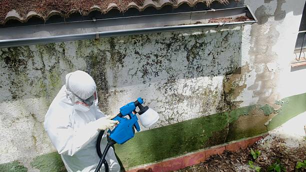 Top rated local Crawl Space Mold Removal specialists in Elizabeth, CO
